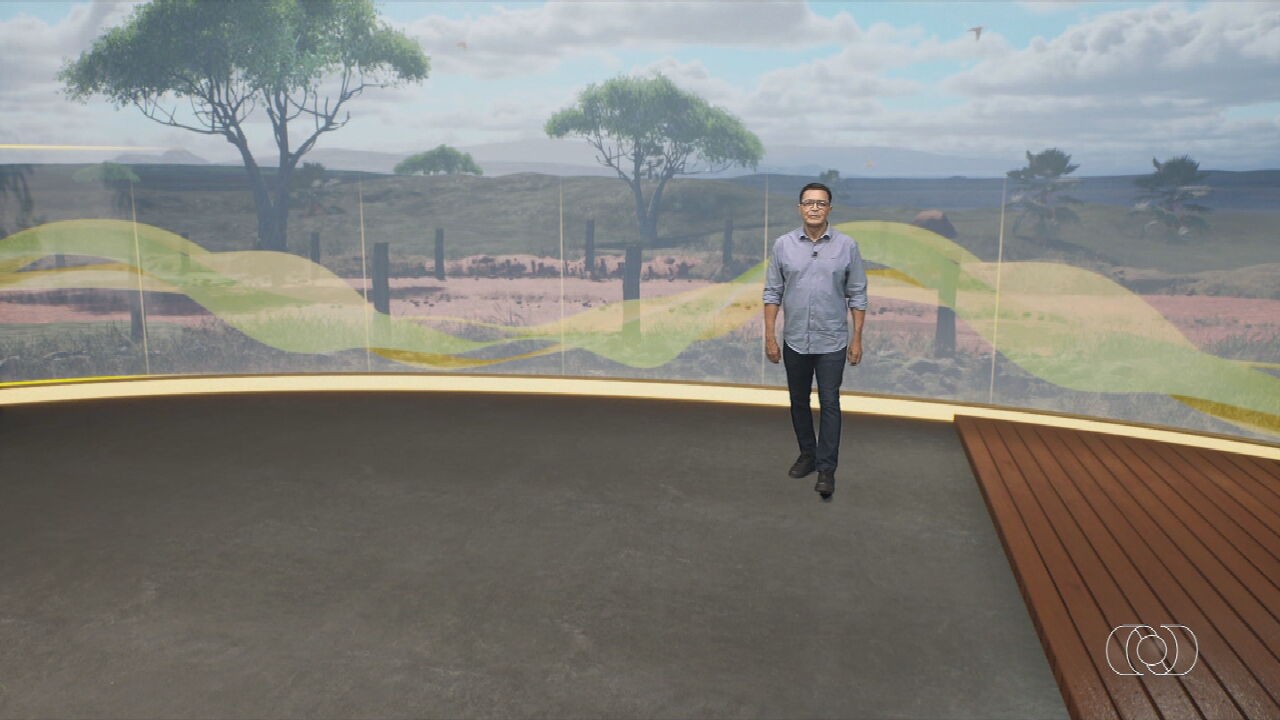 VÍDEOS: Jornal do Campo de domingo, 23 de novembro de 2025