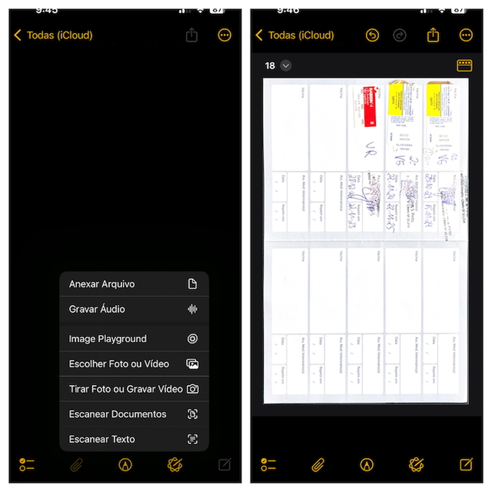 No iPhone, o app Notas � uma das op��es para digitalizar documentos � Foto: Reprodu��o