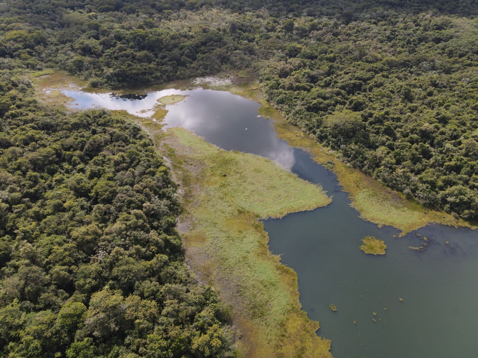Com foco na preservação ambiental, Apoena celebra neste sábado Dia Mundial de Observação de Aves, em Presidente Epitácio
