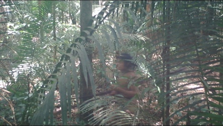 Imagens de povo indígena isolado, nunca antes visto, em Rondônia, são divulgadas pela Funai