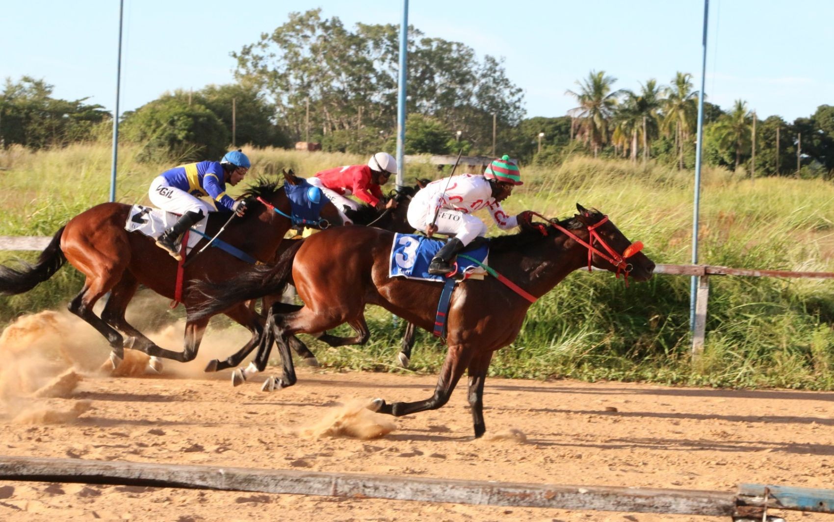 Jóquei Clube volta a realizar corridas de cavalos no Hipódromo da Lagoinha