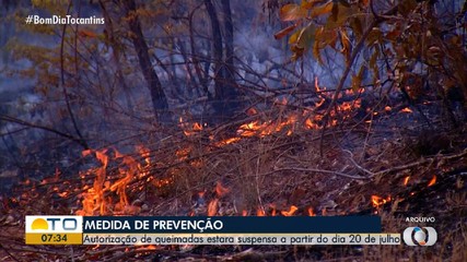 Queimas controladas como práticas de manejo serão suspensas a partir de 20 de julho