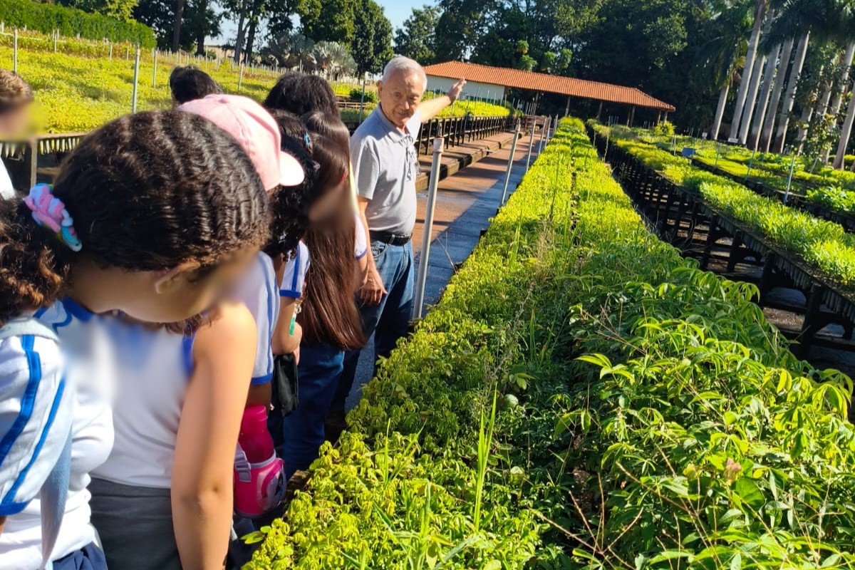 Com trilhas e gincanas, viveiro promove educação ambiental para crianças em Presidente Venceslau