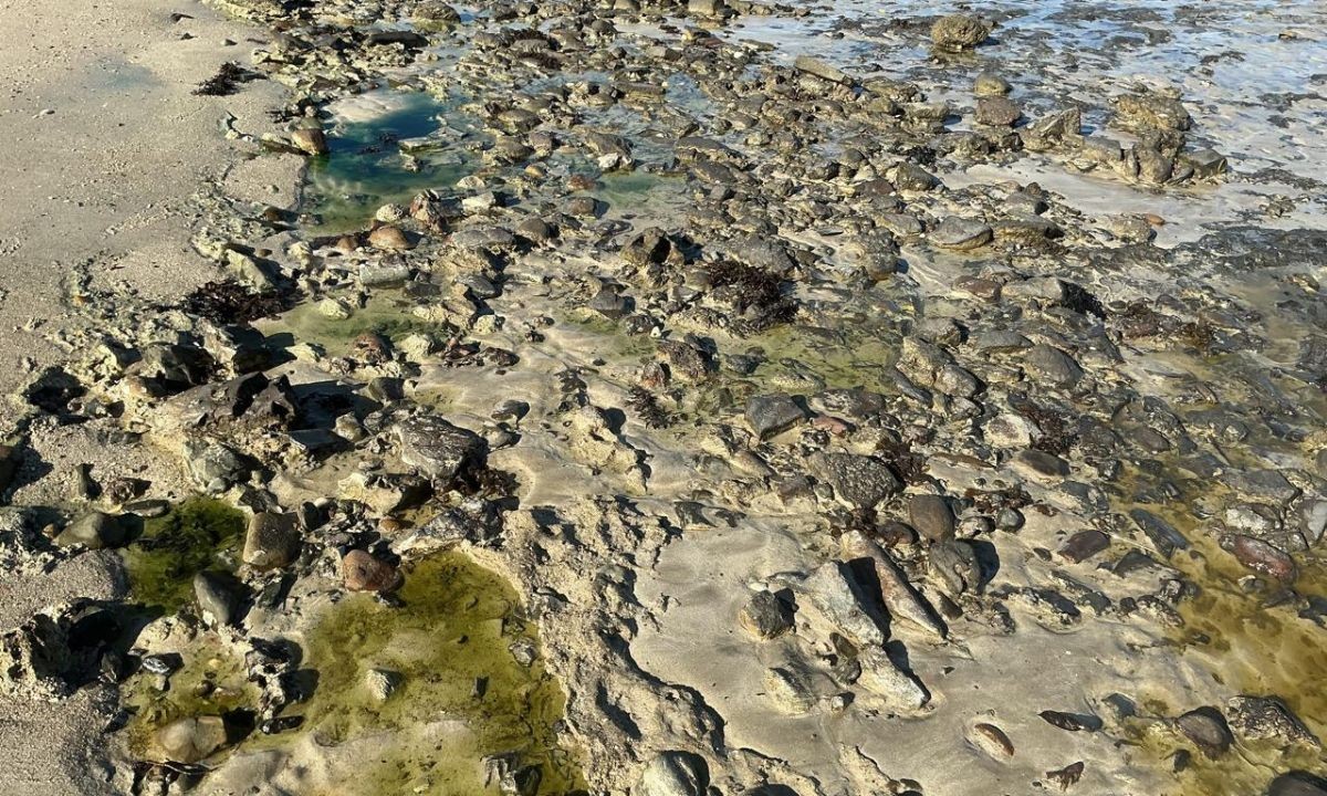 Trabalho suspenso e risco à saúde: pescadores cobram ações do poder público após contaminação de praia no Subúrbio de Salvador