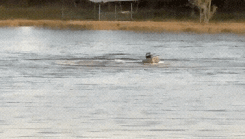 Vídeo mostra canoa girando sozinha após dois homens caírem em lago e morrerem