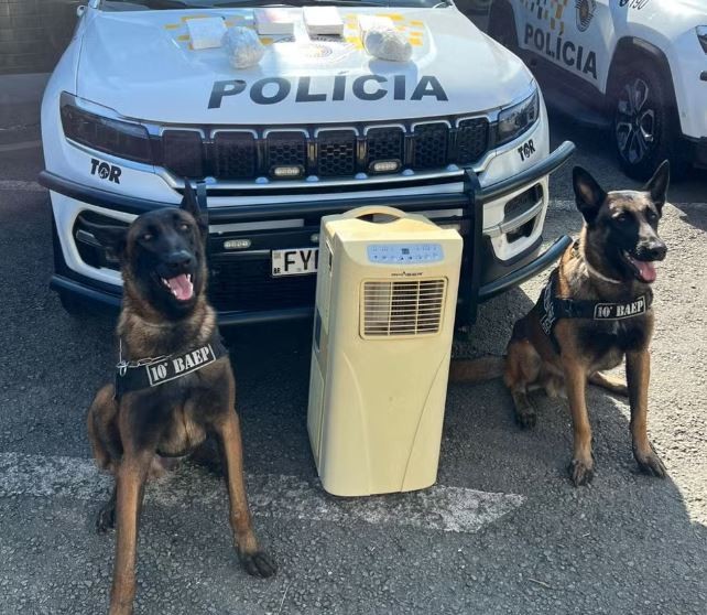 Cães farejadores encontram drogas em ar-condicionado levado em ônibus na Anhanguera em Pirassununga