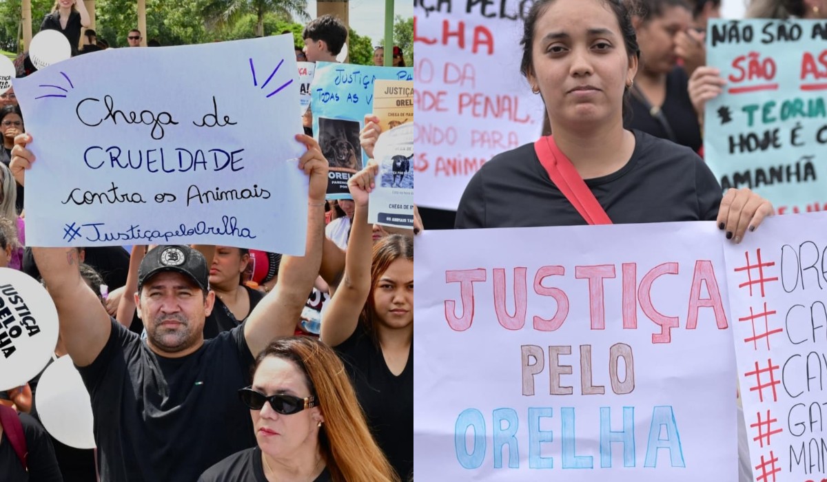 Em Manaus, manifestação pede justiça pelo cão Orelha