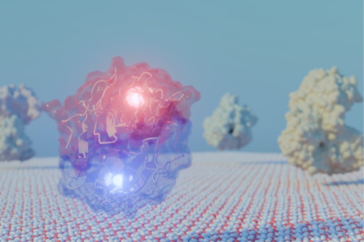 Enzima descoberta por cientistas pode transformar resíduos agrícolas em energia