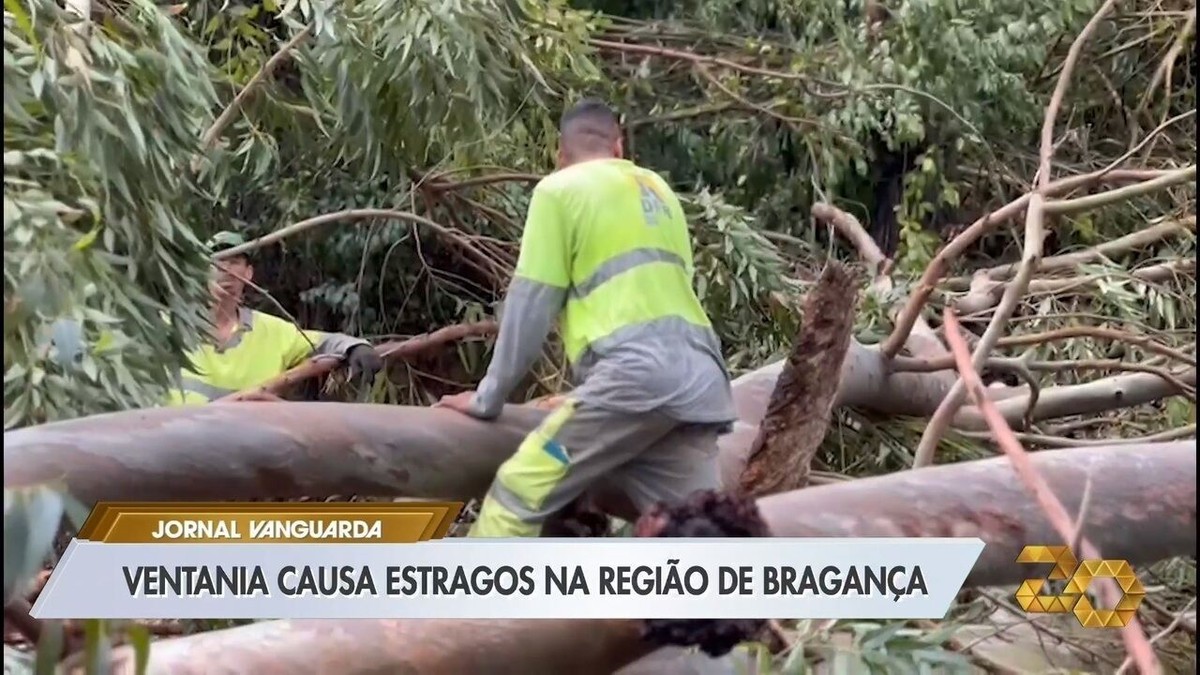 Fortes Chuvas Após Onda De Calor Causam Quedas De árvores E Transtornos Na Região Bragantina 3769