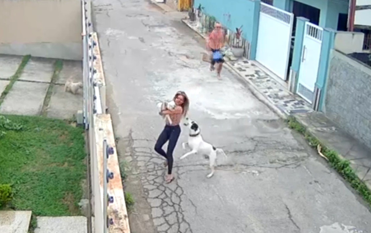 Mulher é atacada por cachorro enquanto passeava com o animal de estimação em Campos dos Goytacazes