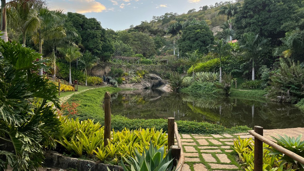 Instituto Terra foi fundado por Sebastião e Lélia Salgado em 1998. — Foto: Léo Olesse/Inter TV dos Vales