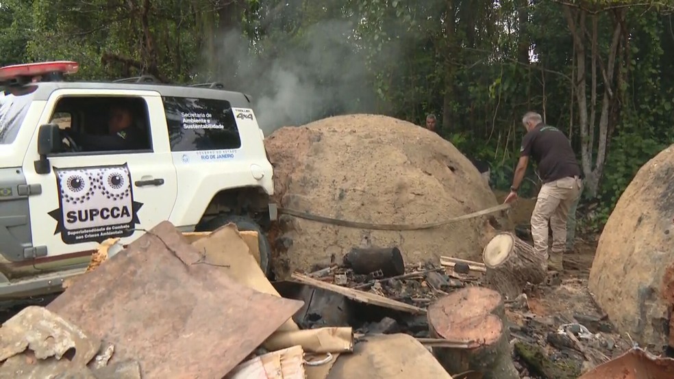 Carvoaria clandestina é fechada em Duque de Caxias — Foto: Reprodução/ TV Globo