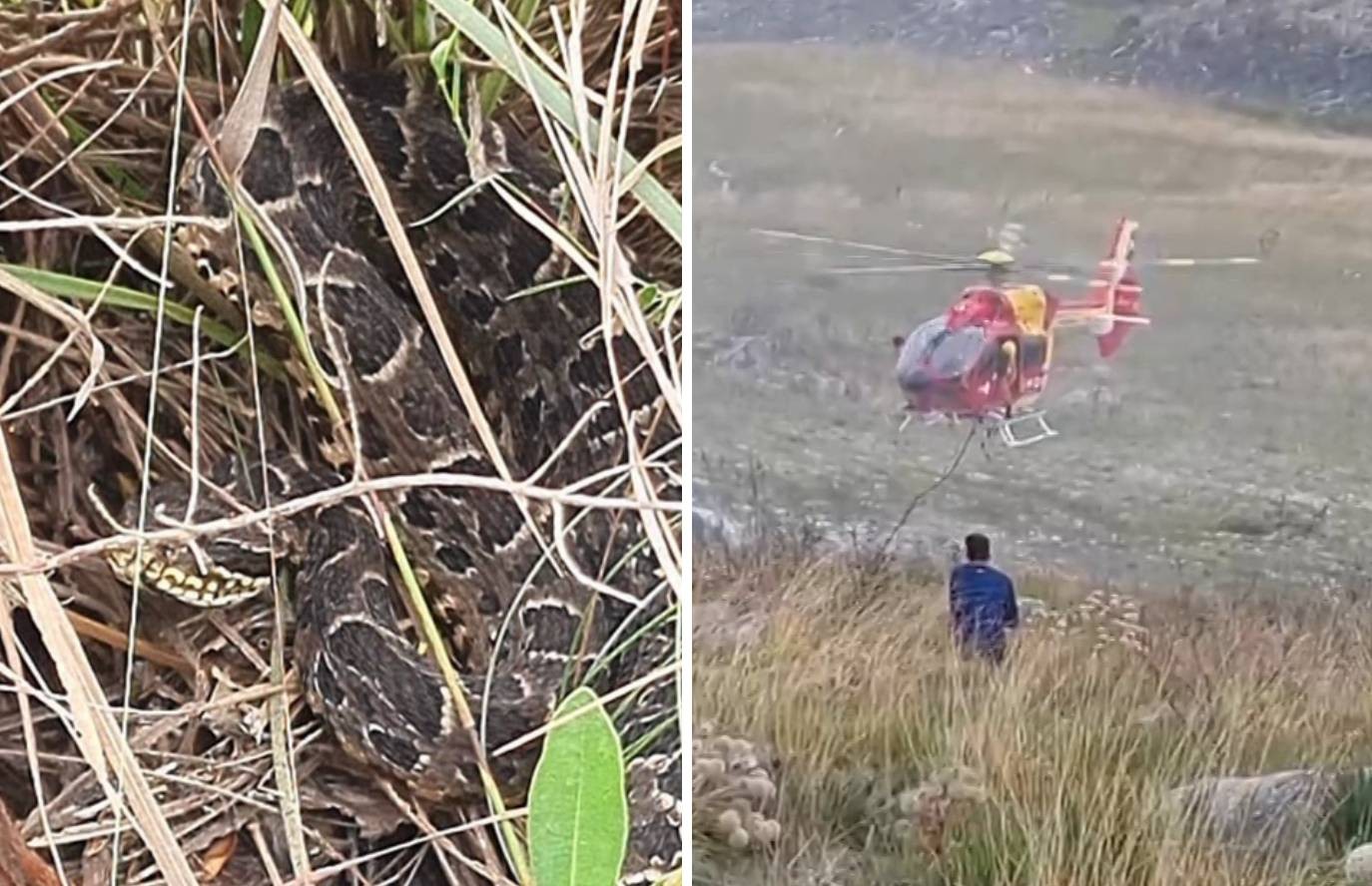 Mulher picada por cobra na Serra do Cipó é resgatada por helicóptero dos bombeiros