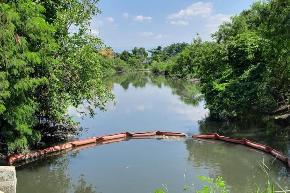 São Vicente, SP, elimina 75 toneladas de lixo dos canais com uso de ecobarreiras; entenda