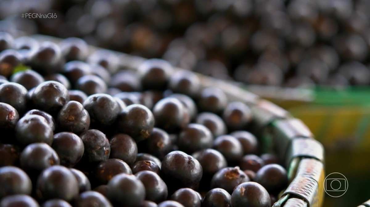 Preço do açaí sofre alta de 43% nos primeiros meses de 2026 e preocupa comerciantes no PA