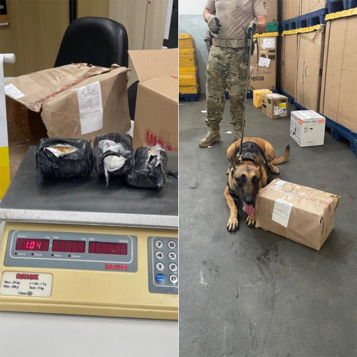 Polícia Federal apreende cocaína enviada pelos Correios para o interior do RN