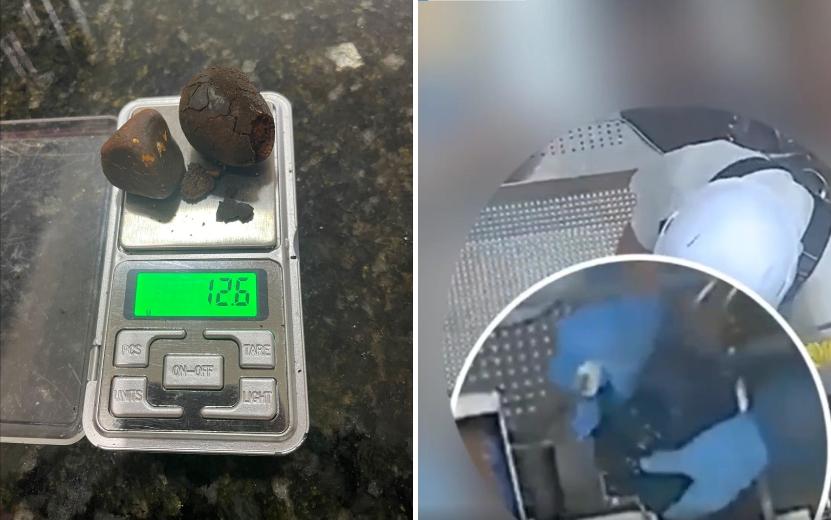 Pedra de fel: Funcionários de frigorífico são presos suspeitos de furtar pedra de vesícula de boi; vídeo 
