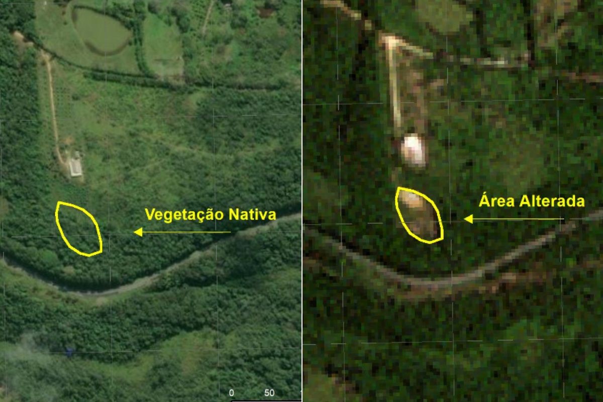 PM usa imagens de satélite para flagrar desmatamento ilegal e multa fazendeiro em R$ 31 mil em SP