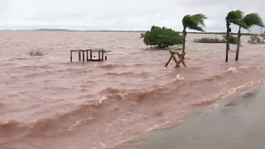 Vento e força das águas formam ondas no Guaíba; ASSISTA - Foto: (Reprodução)