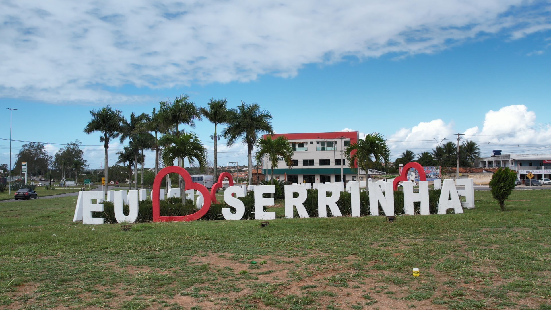 Prefeitura de cidade baiana autoriza que animais abandonados sejam abatidos; entenda