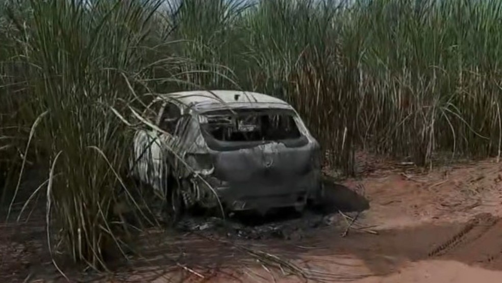 Carro usado em assalto à agência bancária foi encontrado abandonado e queimado em canavial em Monte Alto, SP — Foto: Reprodução/EPTV