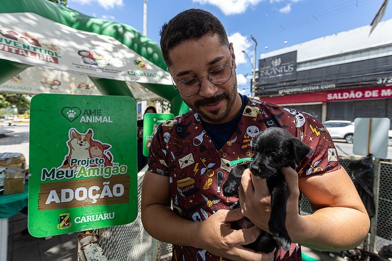 Projeto “Meu Amigão” promove adoção responsável de cães e gatos no Marco Zero de Caruaru