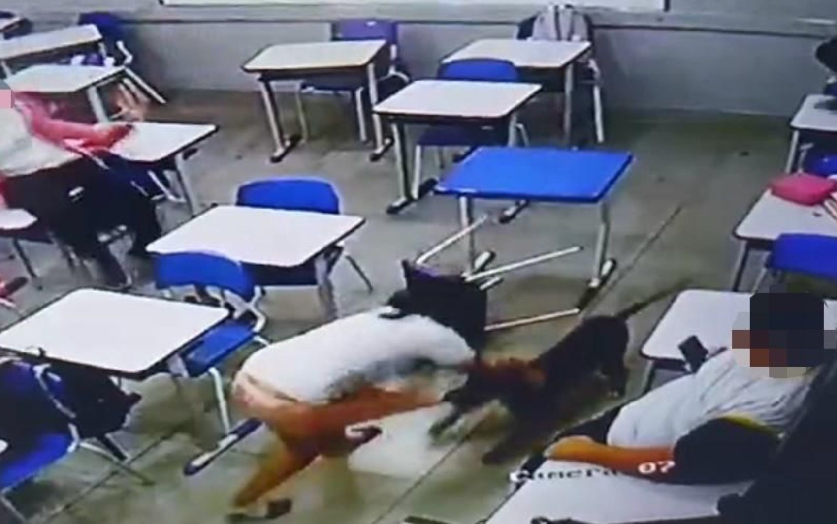 Colegas de aluna de 12 anos atacada por cachorro em sala de aula gritaram desesperados; vídeo