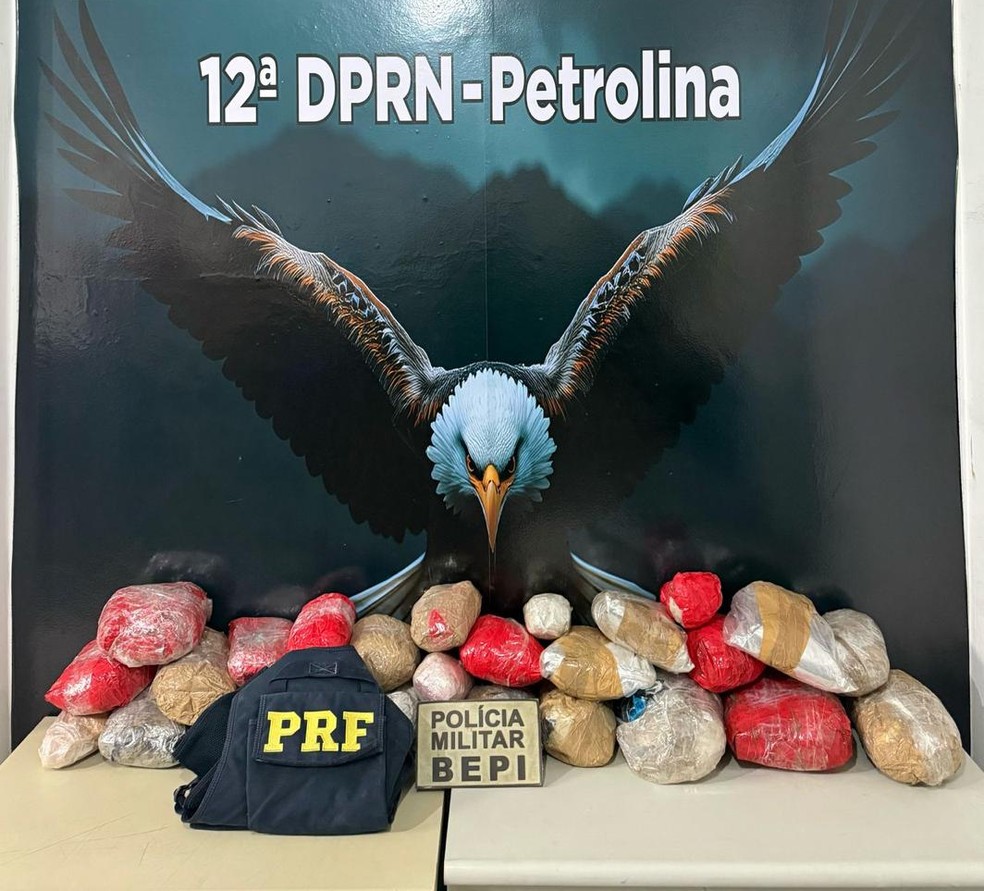 Cocaína apreendida em Petrolina — Foto: Divulgação