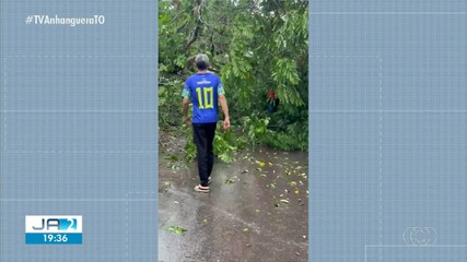 Chuva derruba árvores e deixa trânsito interrompido na TO-080