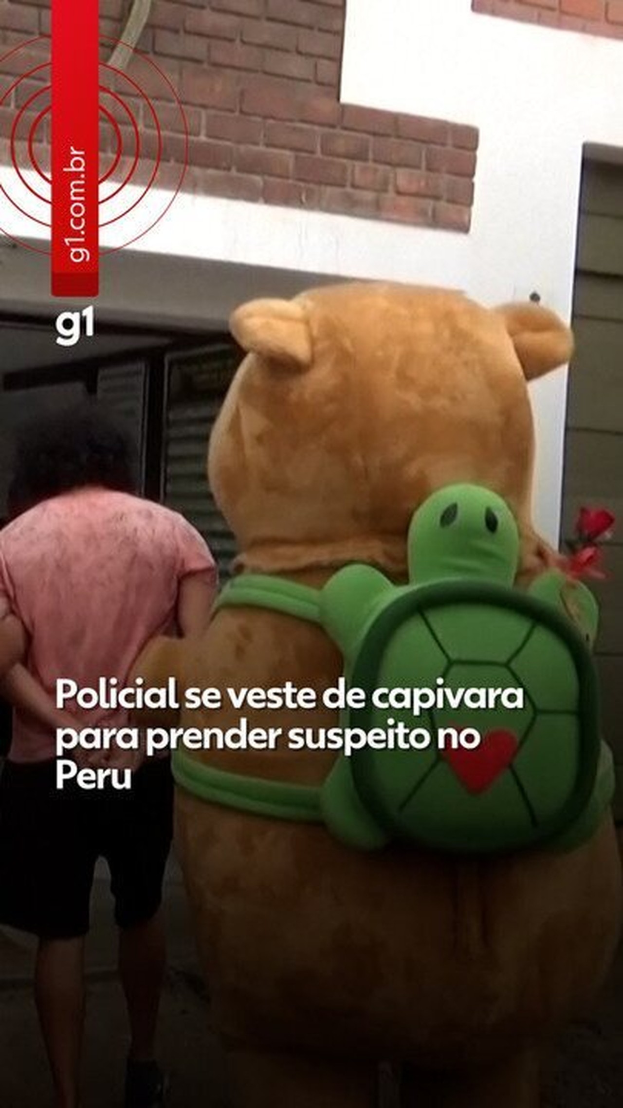 VÍDEO: Policial vestido de capivara prende suspeito de tráfico de drogas no Peru