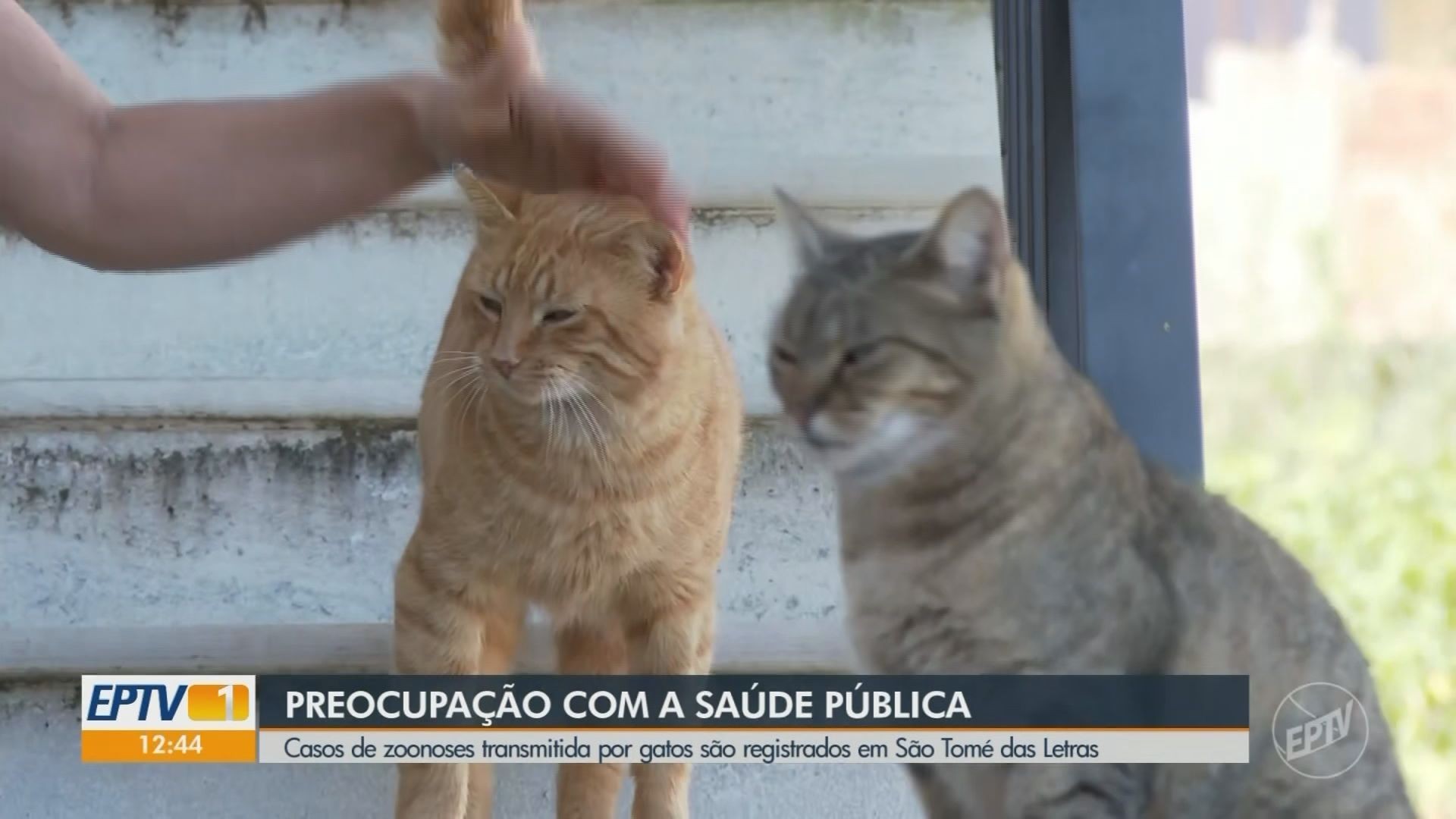 VÍDEOS: EPTV 1 Sul de Minas de sexta-feira, 2 de maio de 2025