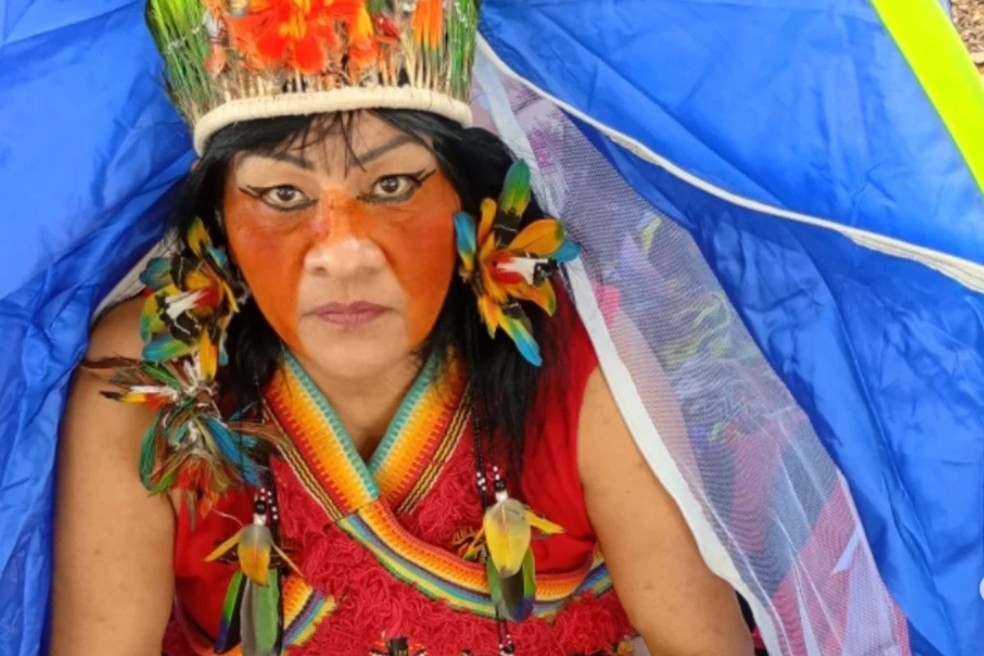 Valdelice Veron é uma das principais representantes dos Guarani e Kaiowá em MS. — Foto: Reprodução/Redes Sociais