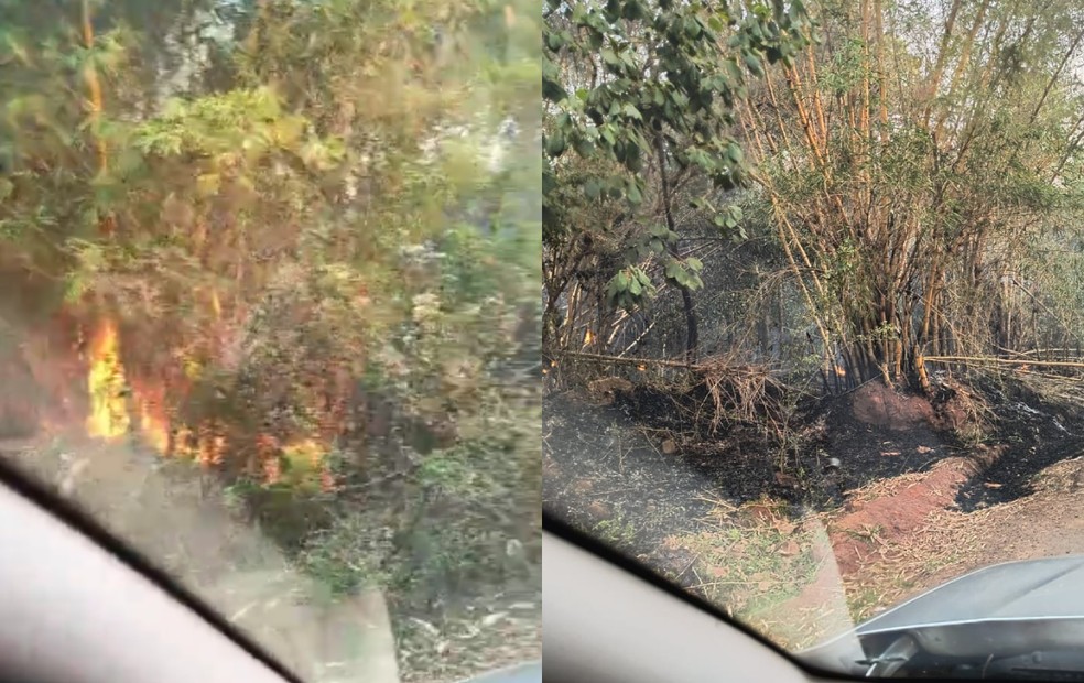 Incêndio em região de chácaras de Ourinhos (SP) — Foto: Arquivo pessoal