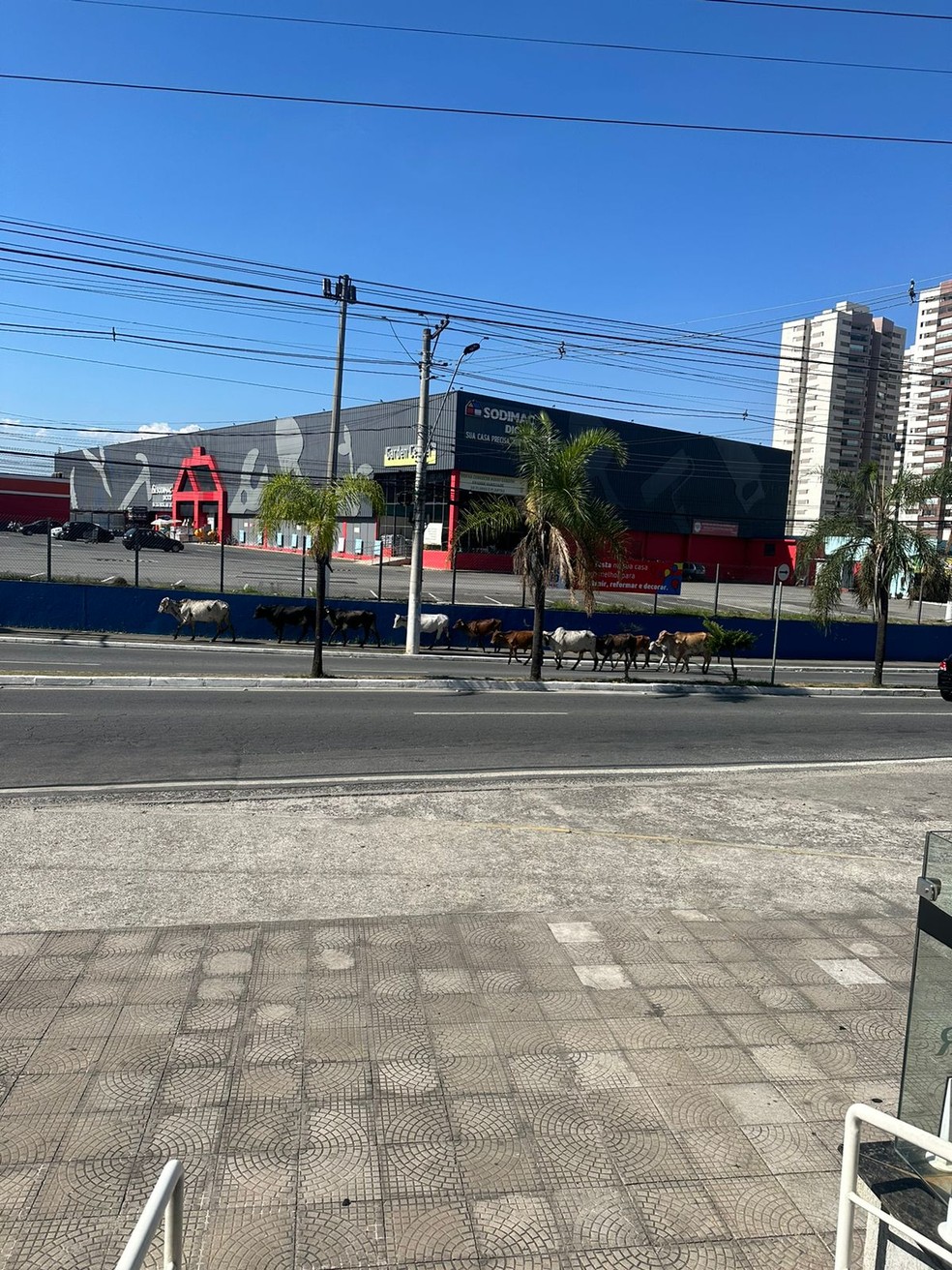 Taubaté altera pontos de ônibus na avenida Charles Schneider • PortalR3 •  Criando Opiniões
