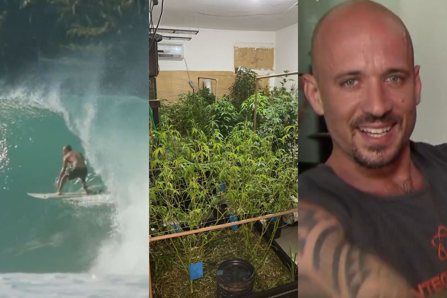 Saiba quem é o surfista preso por manter plantação de maconha em casa