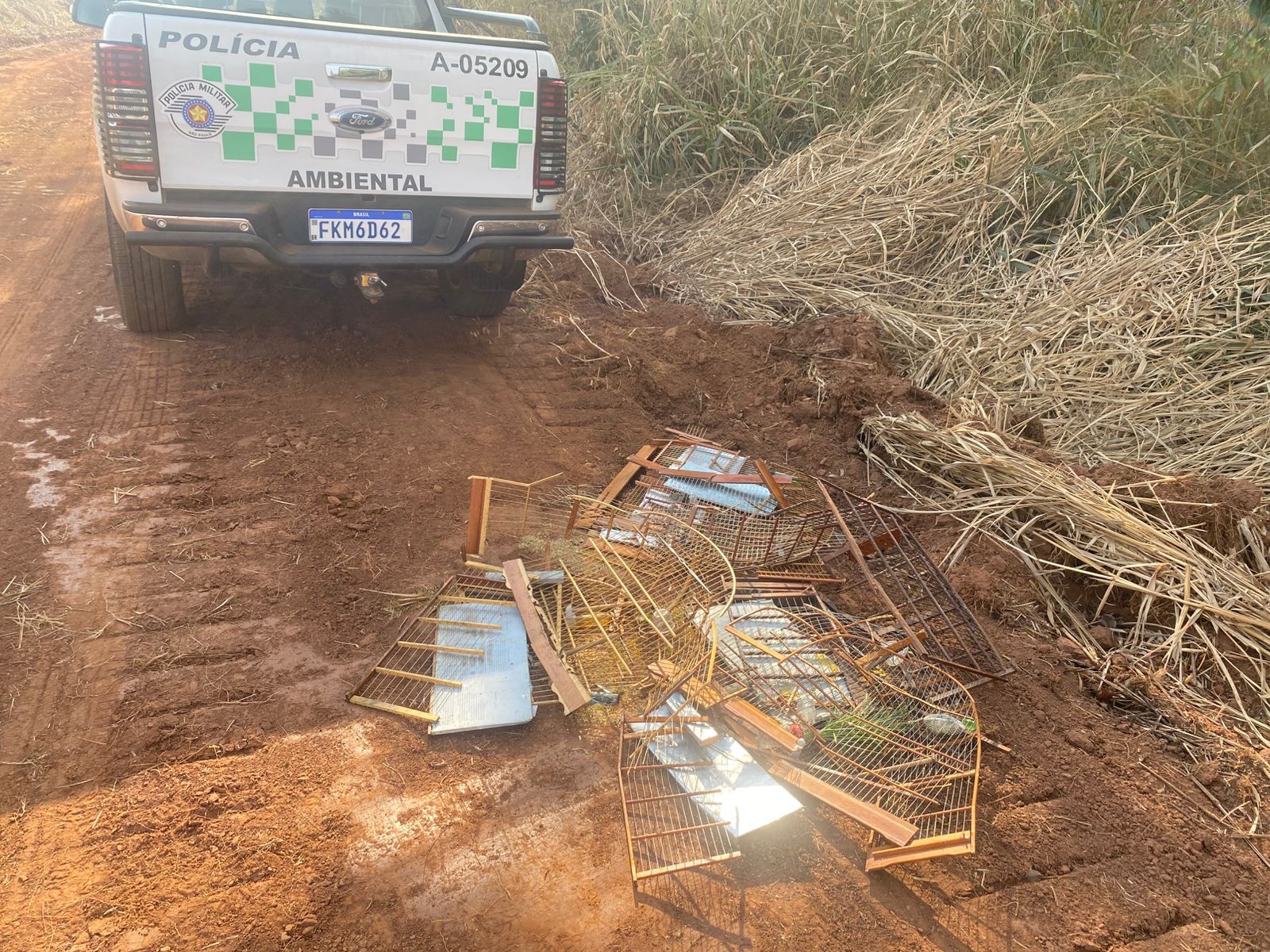 Aves silvestres são resgatadas de cativeiro irregular em borracharia de Hortolândia