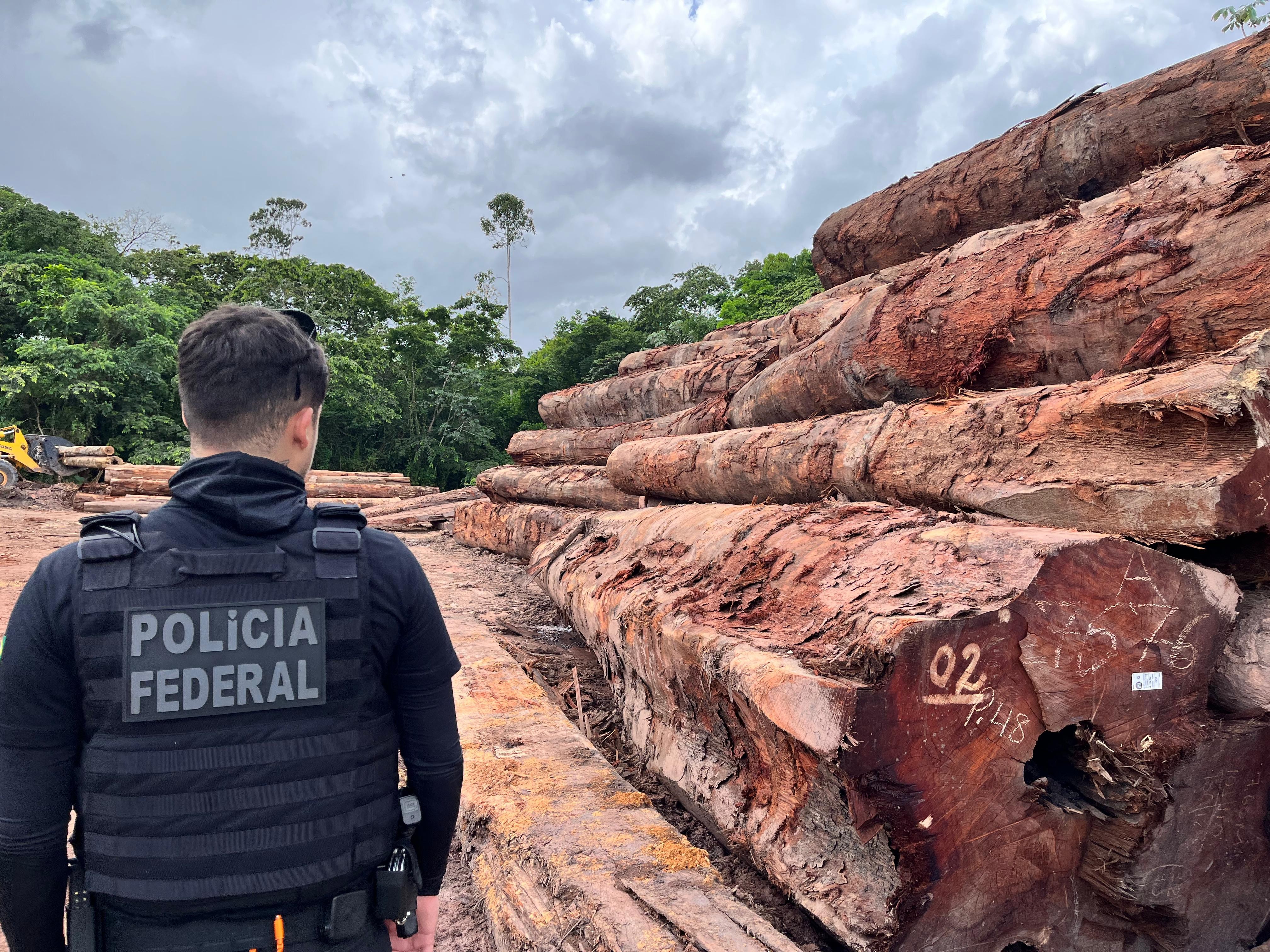 PolÃcia Federal indica desmatamento ilegal de 230 mil m² em floresta protegida no AP