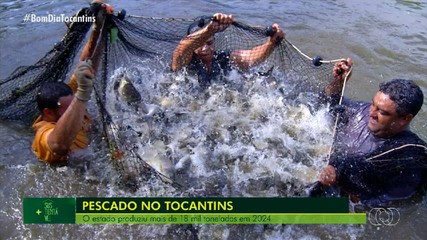 Mais Sustentável: Tocantins se destaca na produção de pescados