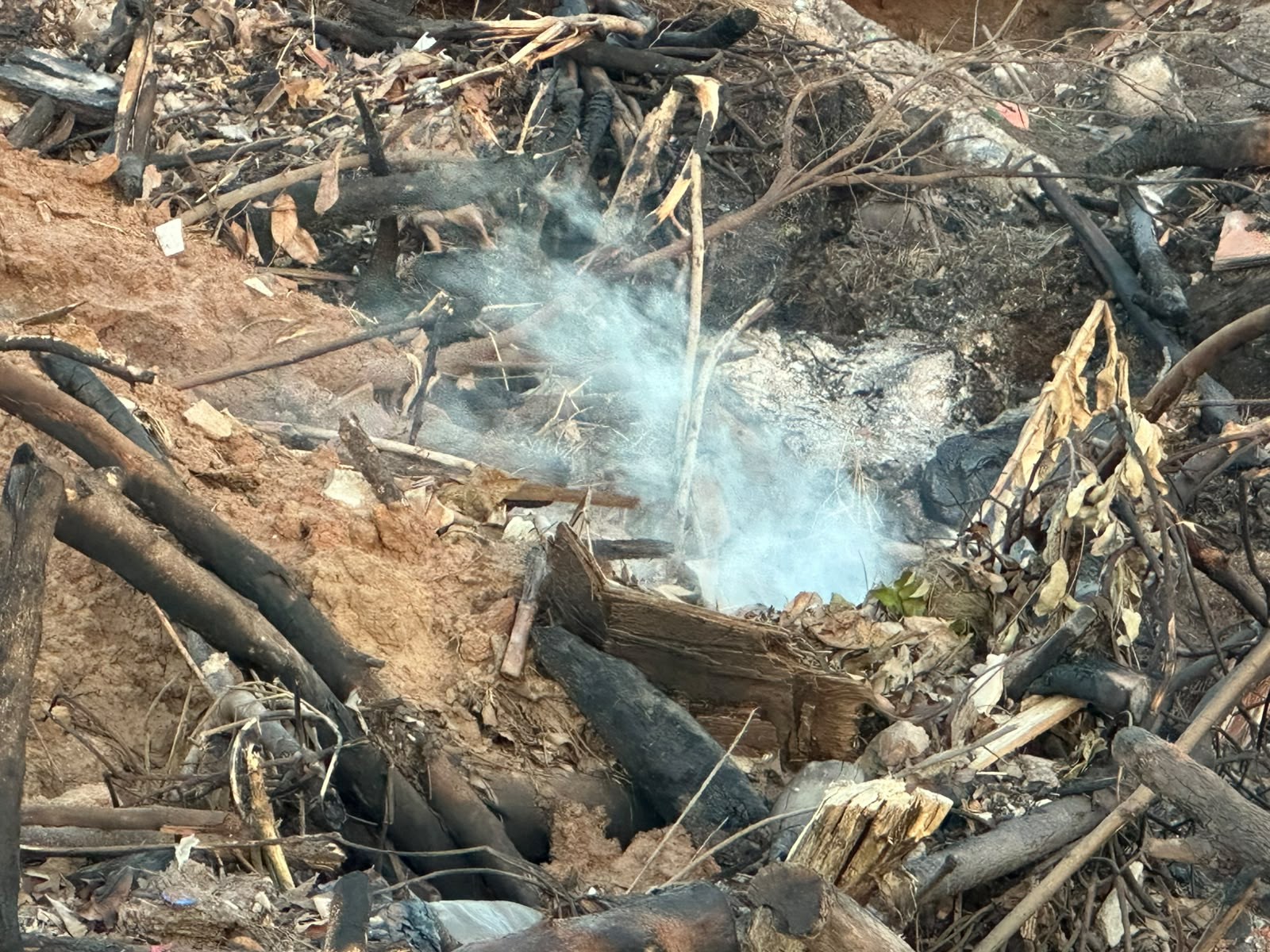 Incêndio em depósito de galhos mobiliza bombeiros e Defesa Civil em Presidente Prudente 