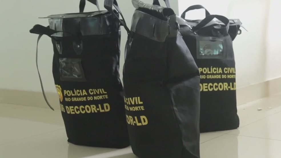 Bolsas com materiais apreendidos durante operação — Foto: Polícia Civil/Divulgação