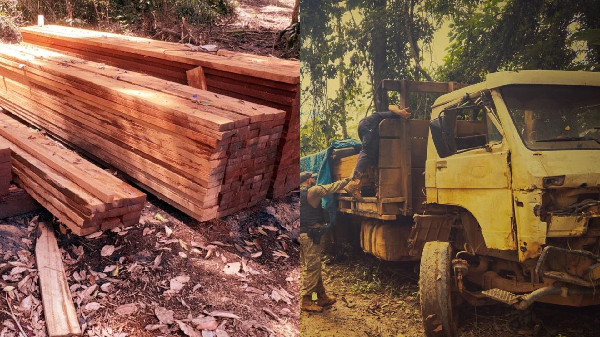 Operação da PF combate garimpo e extração ilegal de madeira na Terra Indígena Kayapó