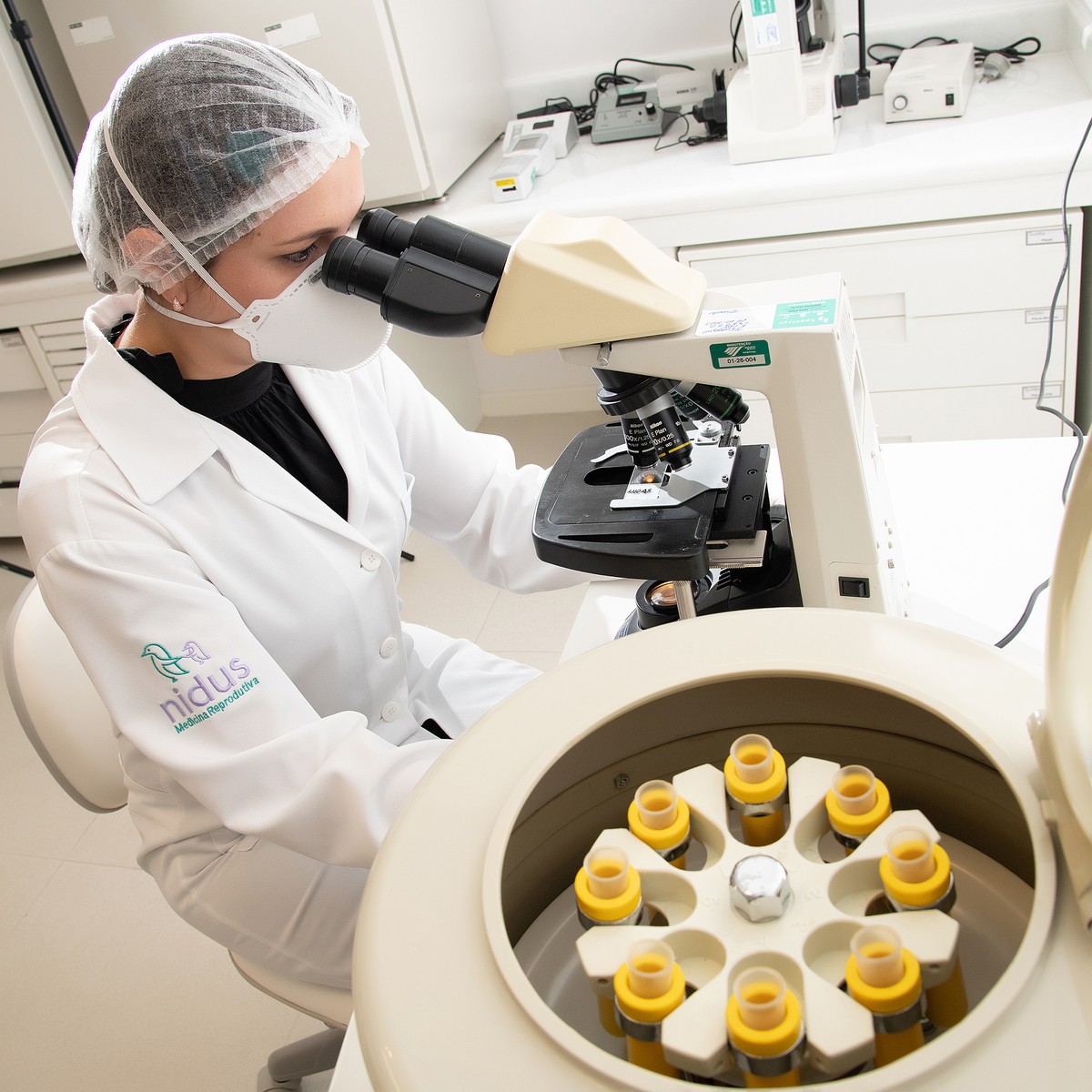 Fertilização in Vitro e Inseminação artificial: não confunda mais ...