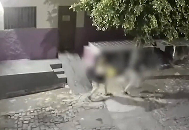 Em menos de 24 horas, duas mulheres são agredidas em via pública, em Cajazeiras 