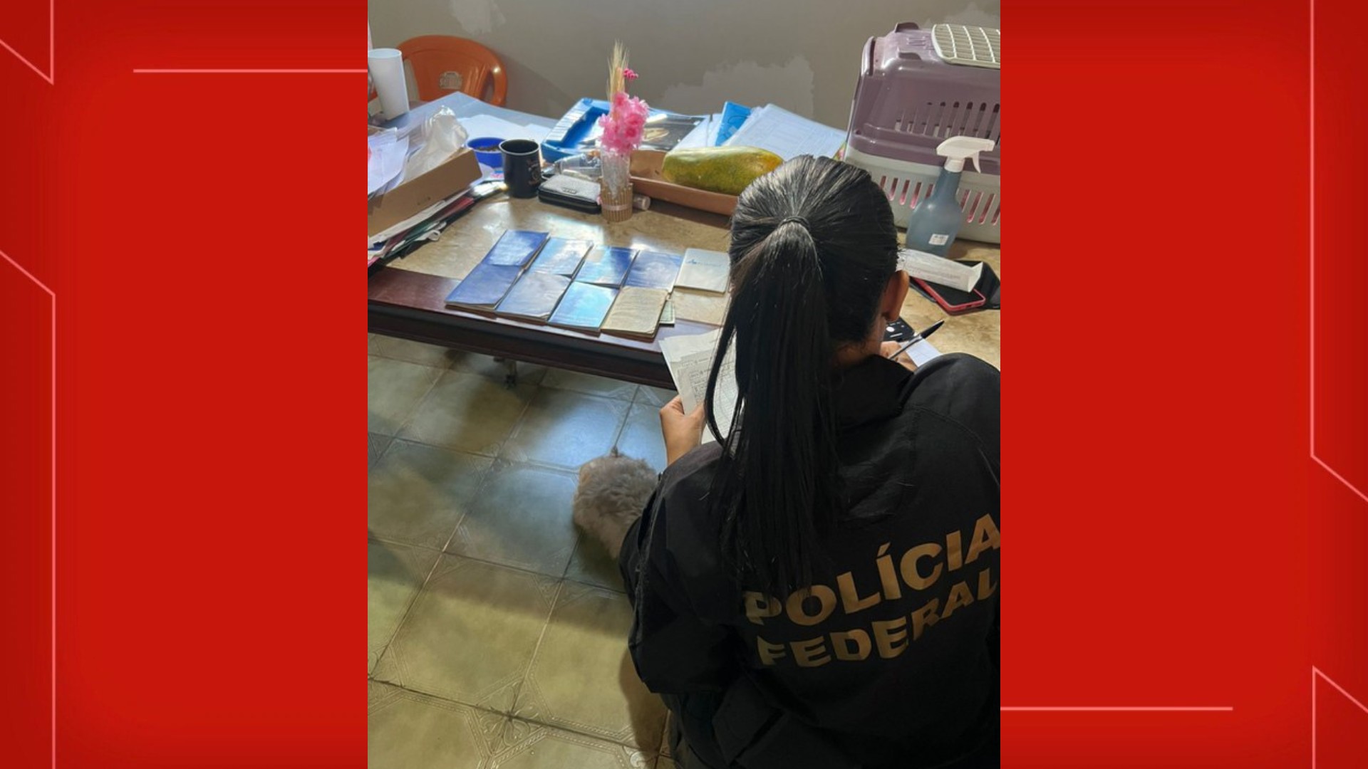 INSS: PF investiga contadores e advogados suspeitos de fraudarem mais de R$ 50 milhões em aposentadorias