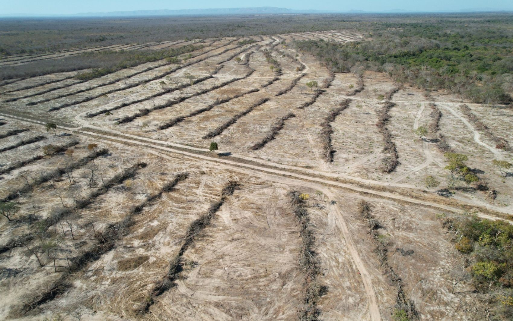 Fazendeiro é multado em mais de R$ 1 milhão após desmatar área de mais de 520 campos de futebol