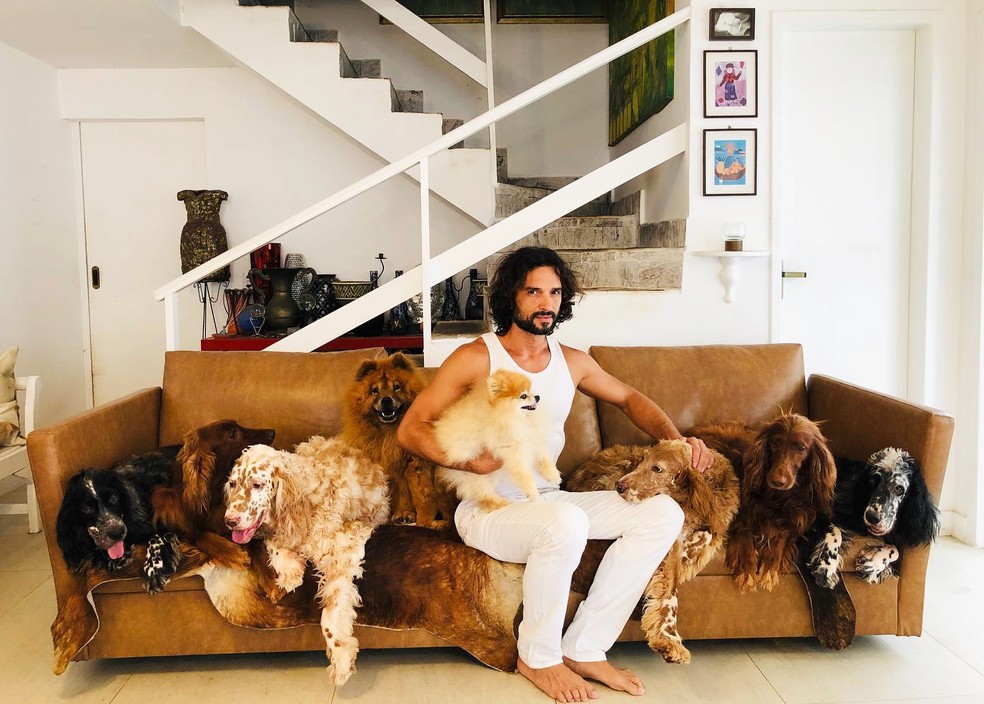 Jeff Machado e seus cães: amor incondicional pelos animais — Foto: Reprodução/Redes sociais