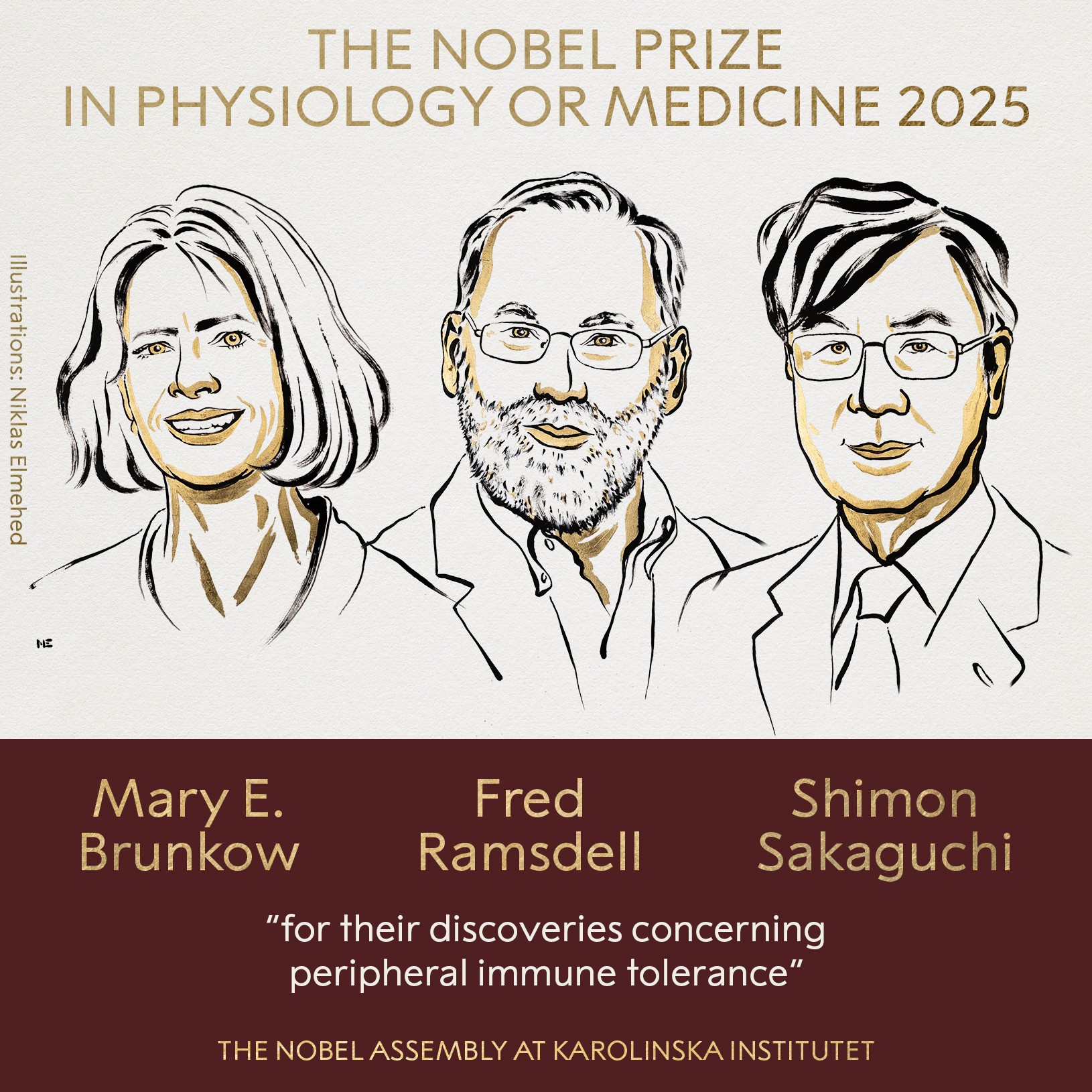 Nobel de Medicina 2025: veja o perfil dos vencedores Mary E. Brunkow, Fred Ramsdell e Shimon Sakaguchi