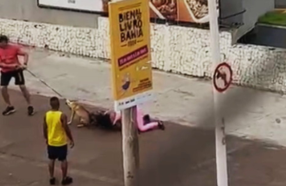 Momento em que o Vira-lata  atacado pelo Pit Bull na orla de Salvador e tutora do co ferido cai no cho e tenta impedir ataque — Foto: Reproduo/Redes Sociais
