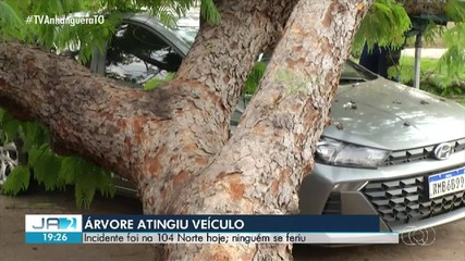 Árvore cai e atinge carro em estacionamento no centro de Palmas