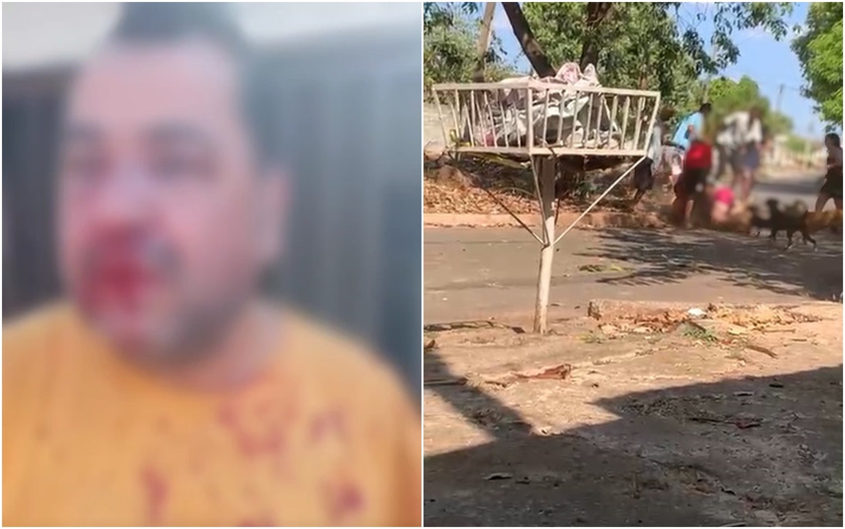 Morador é espancado por adolescentes que tentavam pegar ingá na casa dele; vídeo